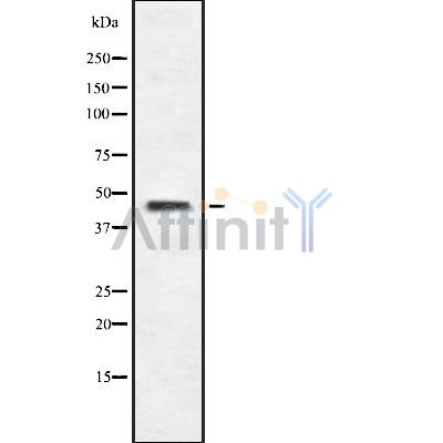 Валидация Affinity DF8919 - 21053