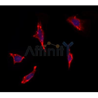 Валидация Affinity DF10283 - 5892