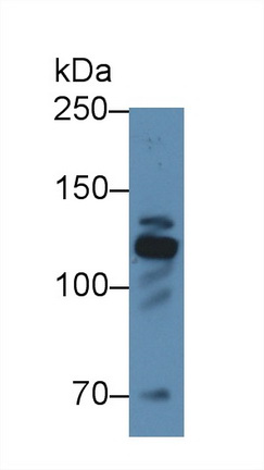 12420
