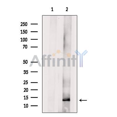 Валидация Affinity DF9125 - 21444