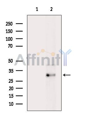 Валидация Affinity DF14701 - 10760