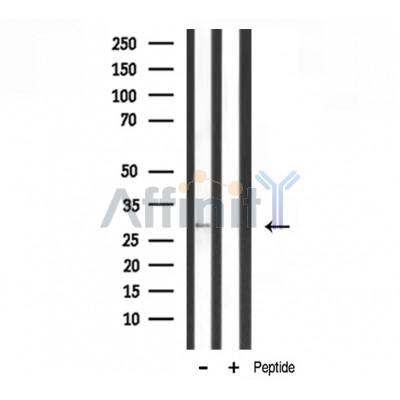 Валидация Affinity DF3655 - 14644
