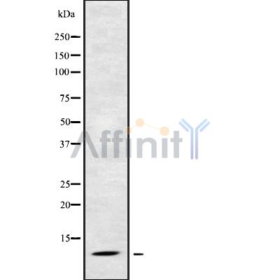 Валидация Affinity DF9119 - 21432