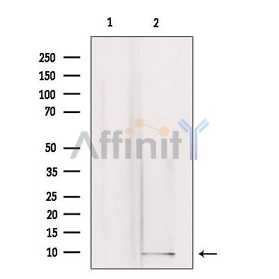 Валидация Affinity DF9559 - 22225