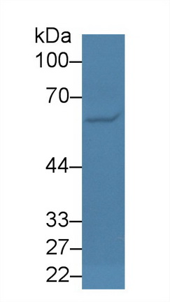 13941