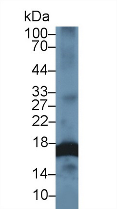 13749