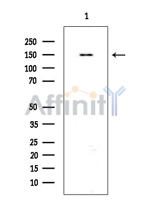 Валидация Affinity DF14940 - 11120