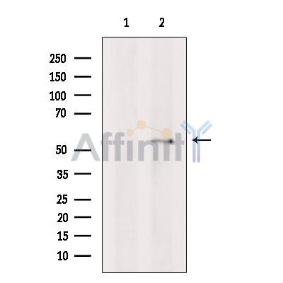 Валидация Affinity DF13299 - 8436