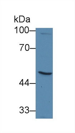 14839