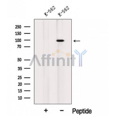 Валидация Affinity DF12644 - 7286