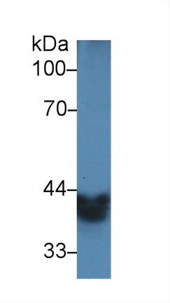 10283