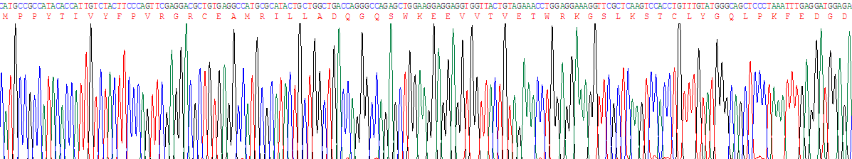 20948