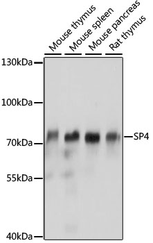 Валидация Elabscience E-AB-91525
