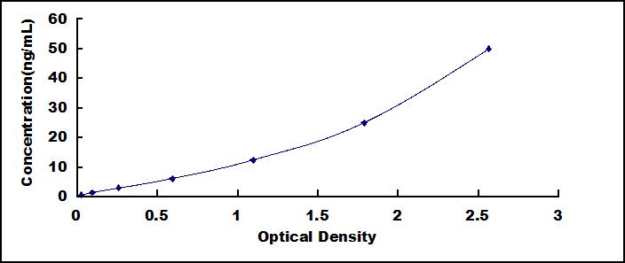 51137