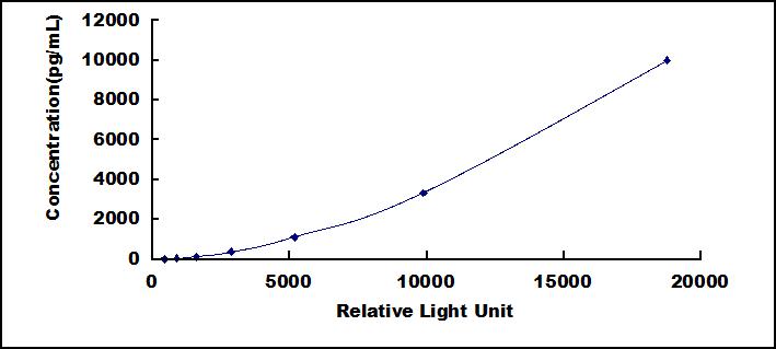 55607