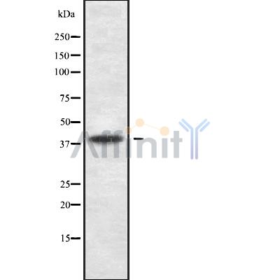 Валидация Affinity DF10175 - 5713