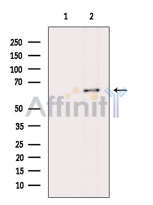 Валидация Affinity DF14025 - 9788