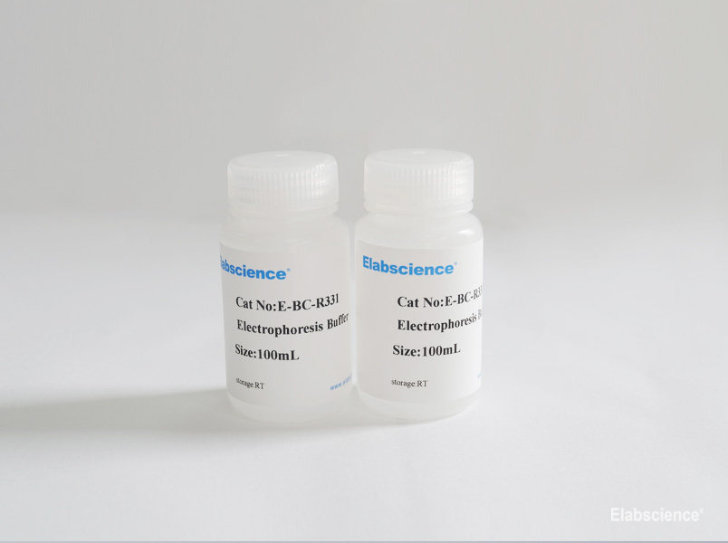 Фото Elabscience E-BC-R331