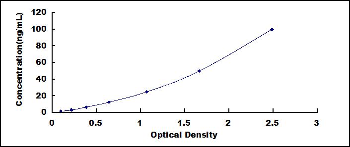 56091