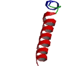 Corticotropin Releasing Hormone (CRH)