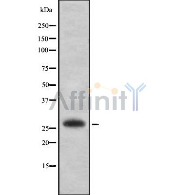 Валидация Affinity DF8815 - 20871