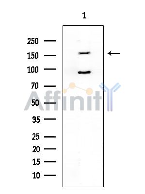 Валидация Affinity DF4957 - 16792