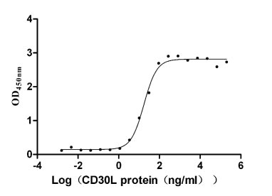 Функциональный ИФА: связывание иммобилизованного CD30 с человеческим CD30L