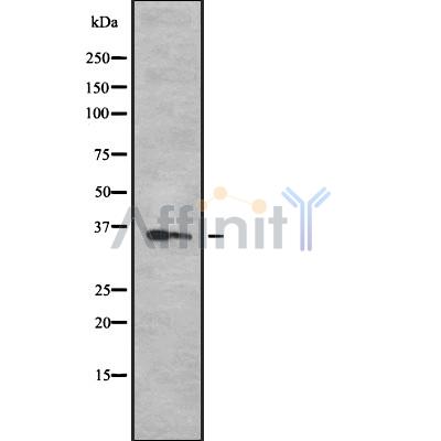 Валидация Affinity DF10289 - 5899