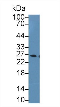 13488