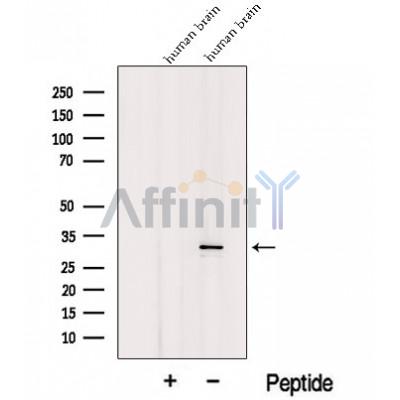 Валидация Affinity DF12639 - 7279