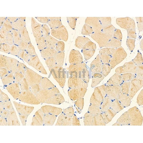 Валидация Affinity DF3910 - 15087