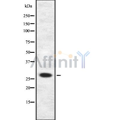 Валидация Affinity DF8914 - 21044