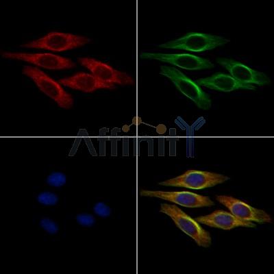 Валидация Affinity DF8622 - 20554