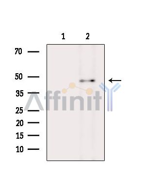 Валидация Affinity DF15866 - 12378