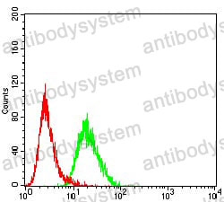 Валидация AntibodySystem RHJ78302