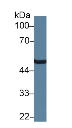 14405