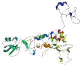 Mannosyl Alpha-1,3-Glycoprotein Beta-1,4-N-Acetylglucosaminyltransferase Isozyme C (MGAT4C)