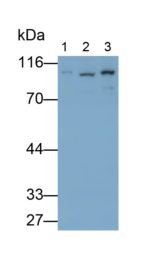 4114