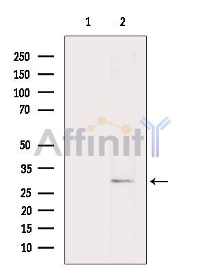 Валидация Affinity DF15061 - 11288
