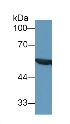 13395