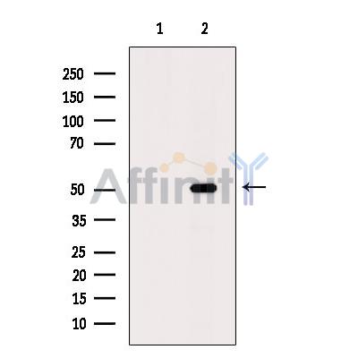 Валидация Affinity DF9271 - 21713