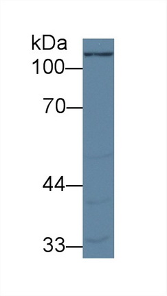 8831