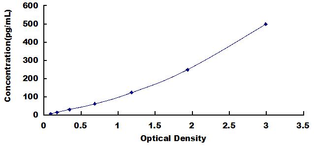 65156