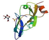 Alpha-1-Microglobulin/Bikunin Precursor (a1M)