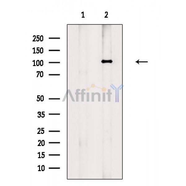 Валидация Affinity AF6884 - 4096