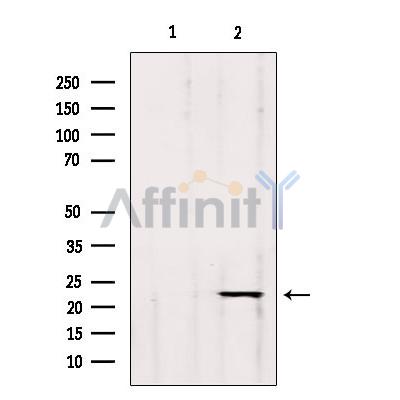 Валидация Affinity DF9759 - 22587