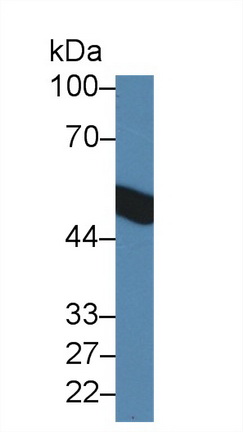 14344