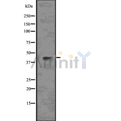 Валидация Affinity DF7571 - 19330