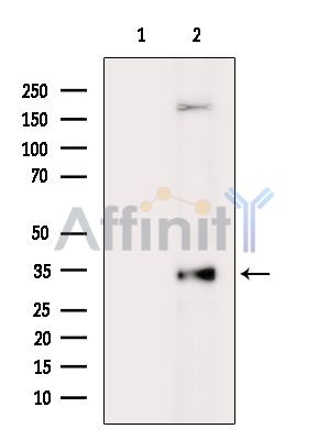 Валидация Affinity DF5215 - 17211