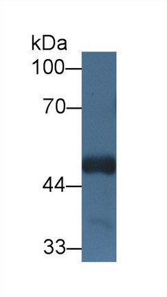 8675